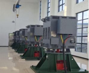 1764683129845211.png 安徽庐江泵站改造项目,西玛高效电机为用户每年节能超5%2.png